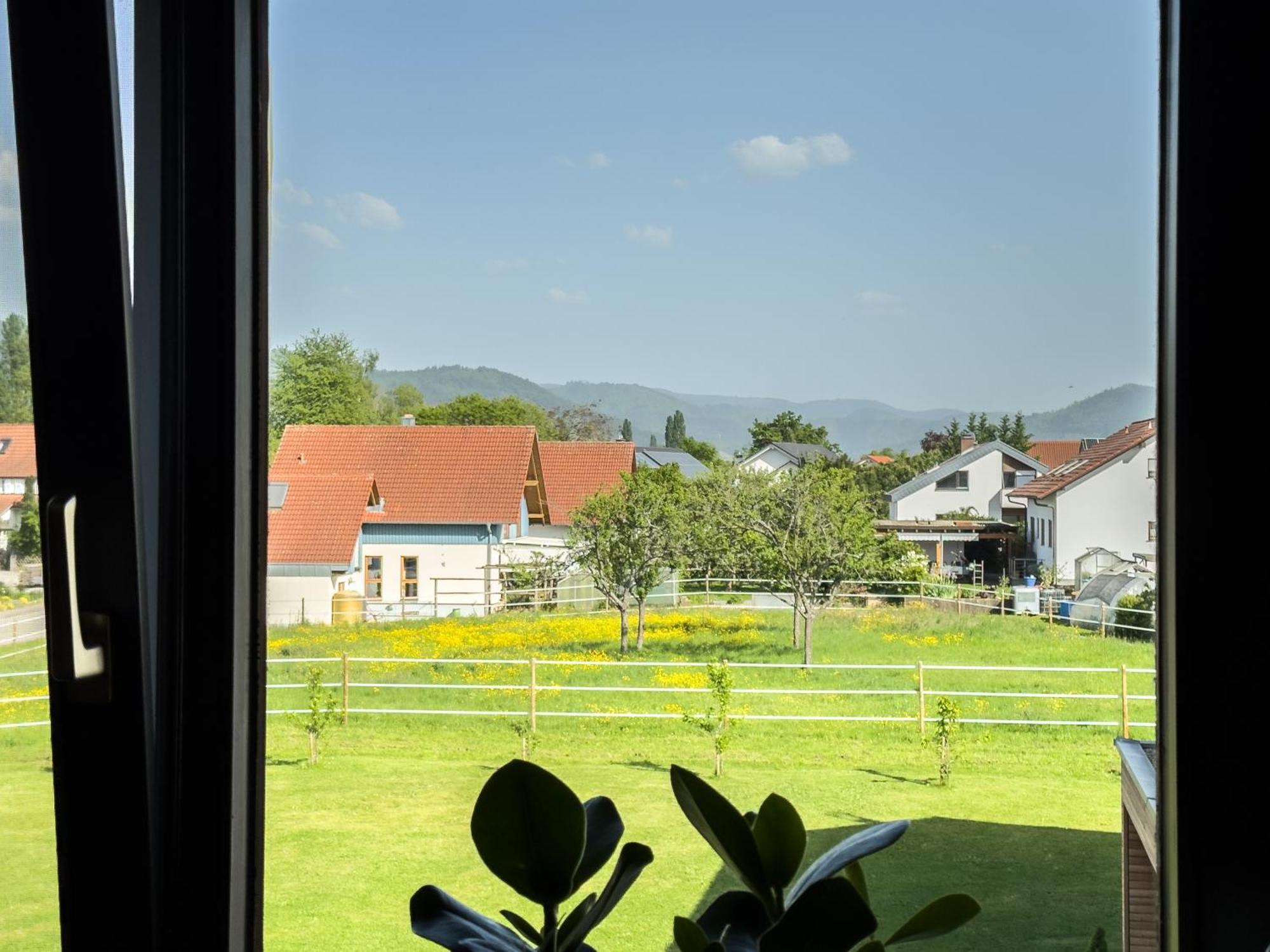 Jack-inn Oberkirch (Baden)